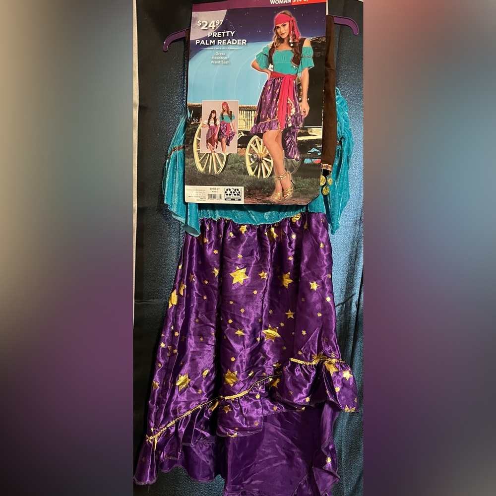 Palm Reader Costume